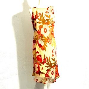 Sleeveless Pink/Tan Fully Lined Dress, Size 12, by "Faith Love and Passion"